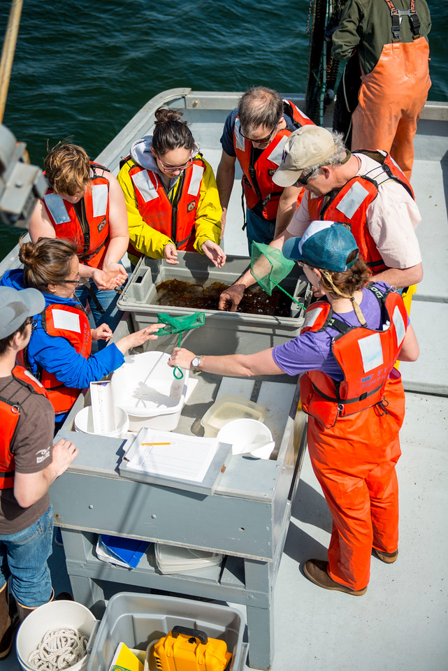 UW researchers on boat